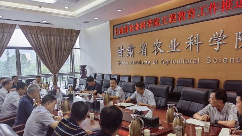 我院召开主题教育工作推进会安排部署整改整治和总结评估工作