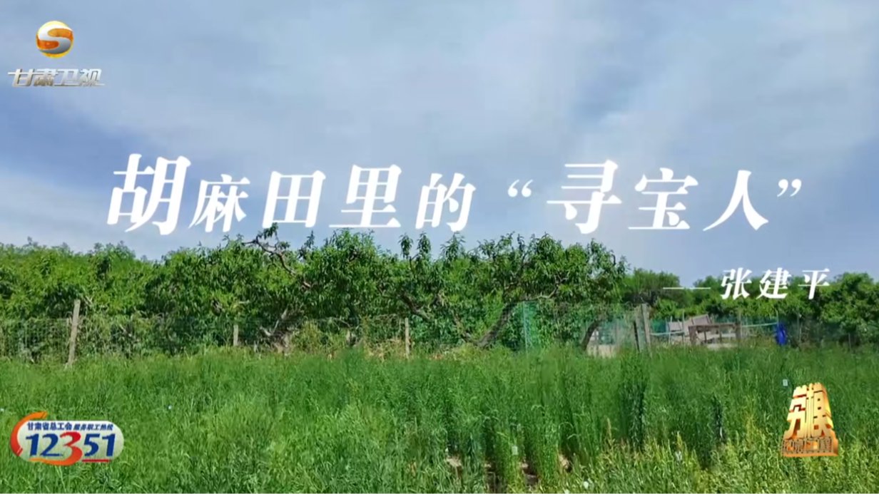 【劳模纪录工程】张建平：胡麻田里的“寻宝人
