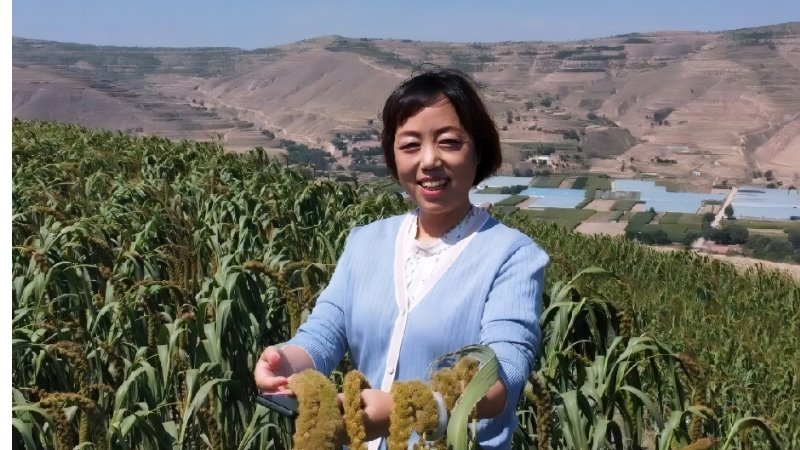 【听丰收的声音】​王华：科技种田不怕天旱