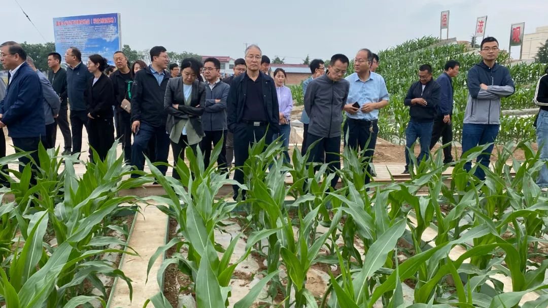 【甘肃经济网】科技赋能绘就陇原好“丰”景——省农科院支撑甘肃农业高质量发展观察