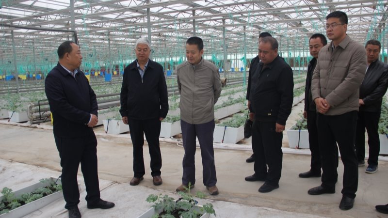 院党委书记刘国汉一行来张掖试验站（场）督导调研并开展学习贯彻习近平新时代中国特色社会主义思想主题教育专题培训