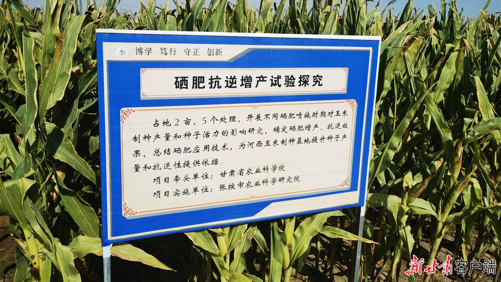 【新甘肃】甘肃省农科院科学技术奖成果丰硕