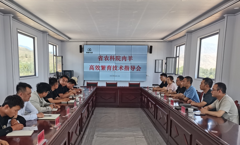 畜草所专家团队赴积石山开展肉羊人工授精技术培训 助力产业科技升级