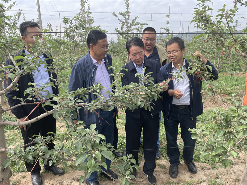 院长马忠明一行赴静宁苹果试验站检查指导工作