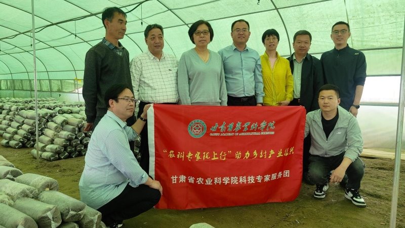 “农科专家陇上行”助力乡村产业振兴——甘肃省农业科学院开展“农科专家陇上行”积石山科技服务行动