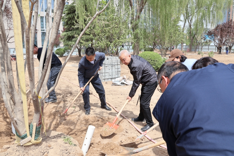 我院开展新春义务植树活动