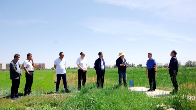 院长马忠明检查国家特色油料产业技术体系胡麻兰州综合试验站工作
