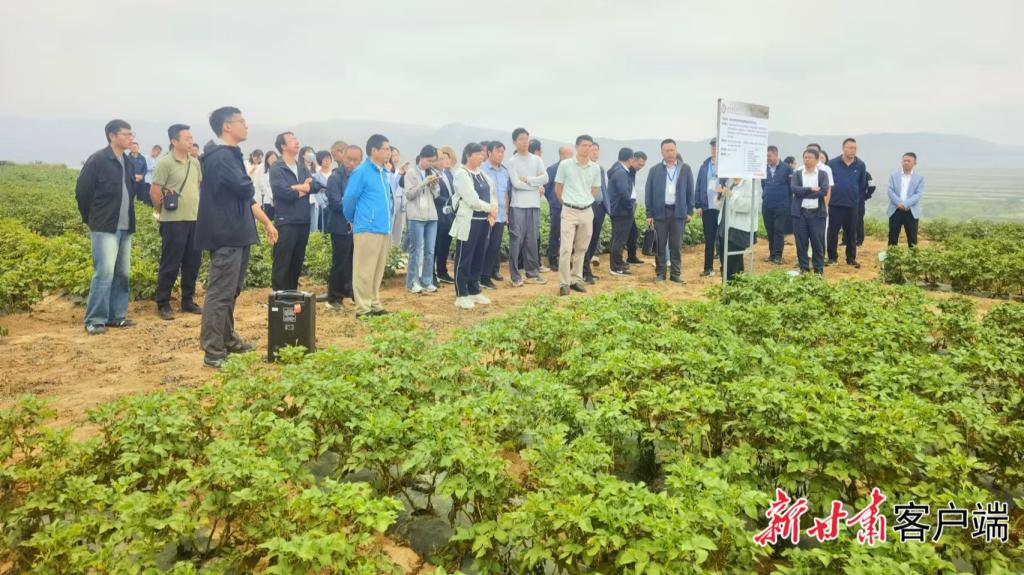 【新甘肃】田野奏响现代农业春耕曲——甘肃省农科院科技赋能现代寒旱农业发展综述