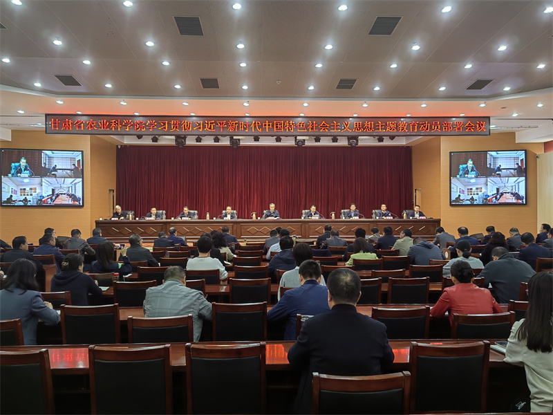 我院召开学习贯彻习近平新时代中国特色社会主义思想主题教育动员部署会议