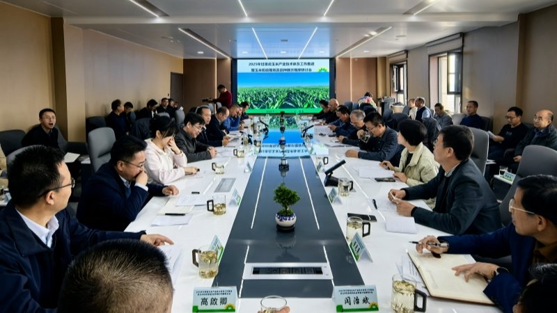 甘肃聚力攻坚玉米籽粒机收瓶颈  农艺农机深度融合助推单产提升