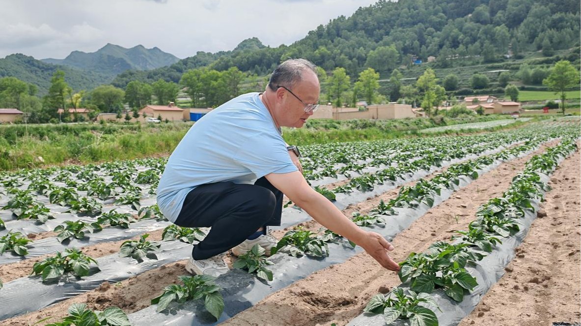 【新甘肃】青春华章·重走西北角丨实验田里的青春底色