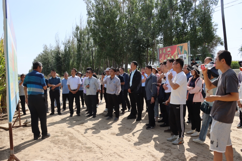 院长马忠明带队参加玉米密植高产精准调控绿色生产技术2023年新疆观摩会