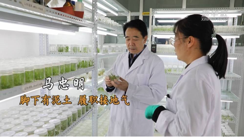 新华社以“脚下有泥土 履职接地气”报道全国政协委员、院长马忠明履职故事