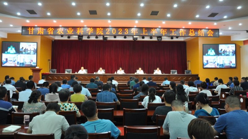 我院召开2023年上半年工作总结会 