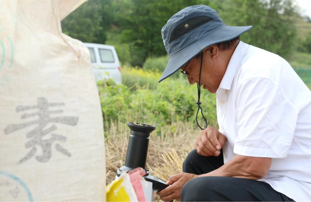 【人民日报】金台瞰甘头条 | 甘肃清水县：良种良法助丰产