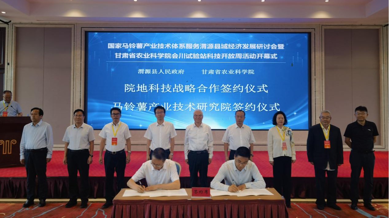 【今日头条】“院地协同”创新机制照亮西部农业县的科技“薯”光