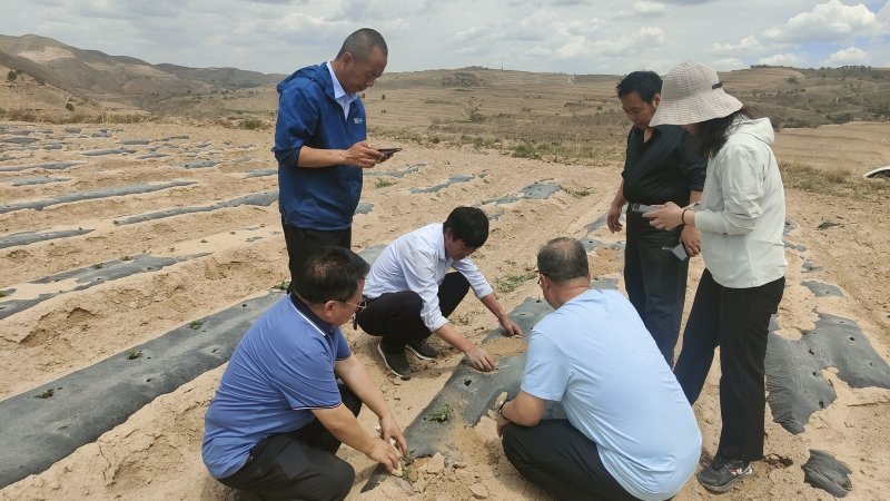 马铃薯研究所科技人员赴会宁开展调研和技术服务