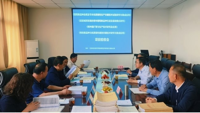 林果花卉研究所三个国家现代农业产业技术体系项目和一个农业农村厅项目通过会议验收