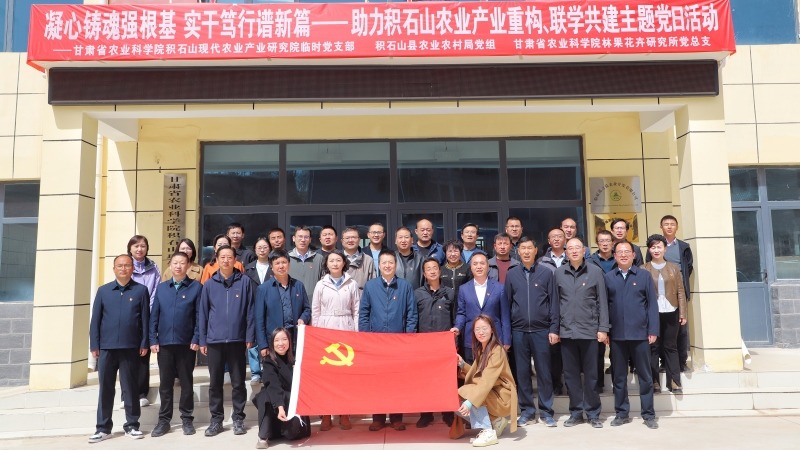 联学联建聚合力  躬身实干提质效