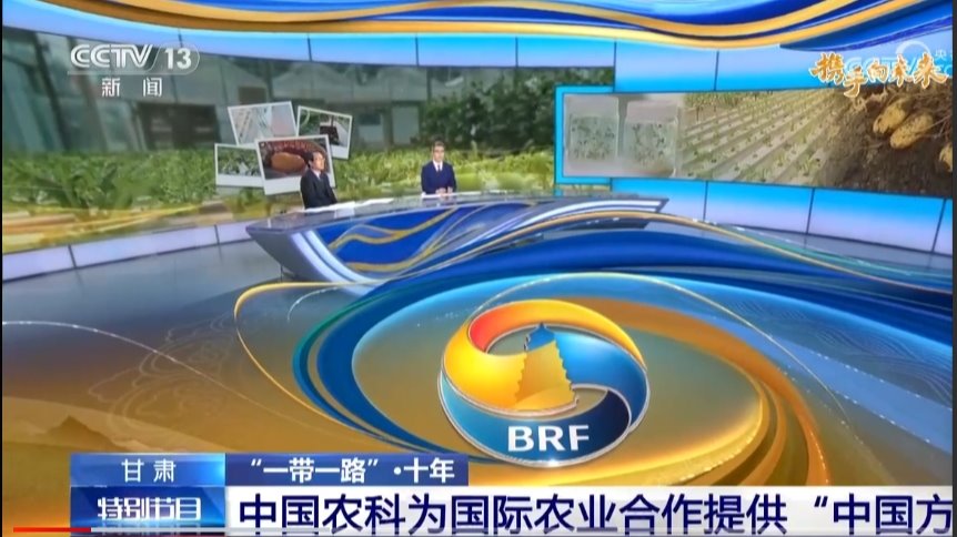 [携手向未来]“一带一路”·十年 甘肃 中国农科为国际农业合作提供“中国方案”