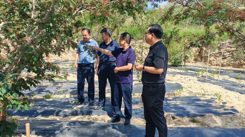 林果所科技人员赴积石山县开展调研和技术指导